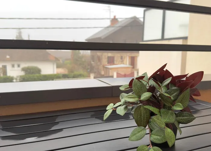 Le Mignon - T2 - 4 Personnes - Combe Persil Appartement Dijon